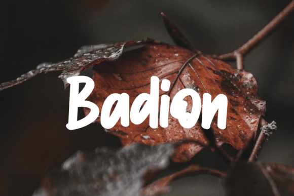 Badion: A Modern Script Handwritten Typeface for Web Design