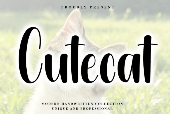 Cutecat: A Crisp Script Handwritten Font for Web Design