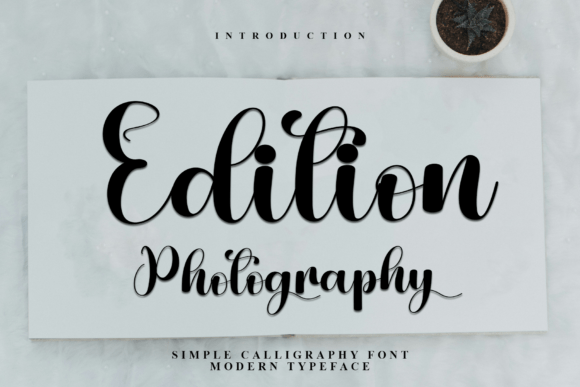 Edition Photography: A Festive Script Font for Holiday Web Design