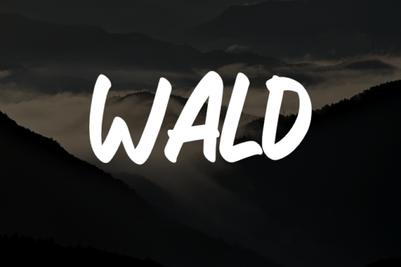 Wald Font: Modern Typography