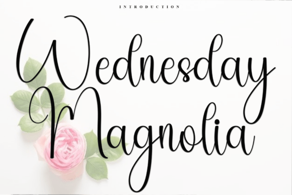 Wednesday Magnolia: The Perfect Script Handwritten Font for Crafters